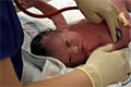 photos of the new baby